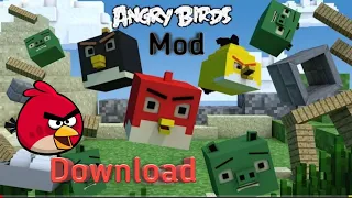 Angry Birds mod in minecraft