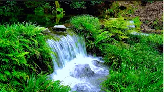 Healing Sound of a Small Waterfall