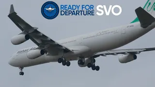 Heavy A340-300 Overhead Landings at Moscow Sheremetyevo Airport | Plane Spotting