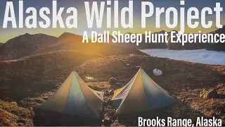 ALASKA WILD PROJECT (SHEEP HUNT)  Brooks Range, Alaska