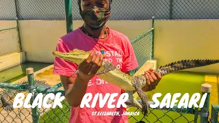 Black River Safari |Best Safari in the World |Crocodiles#jamaica #thingstodoinjamaica #visitjamaica