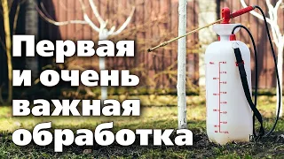 ОБРАБОТКА САДА РАННЕЙ ВЕСНОЙ. Мощный удар по вредителям и болезням