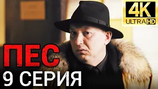 Сериал ПЕС - 9 серия - 1 сезон - Все серии подряд - Смотреть онлайн в хорошем качестве | 4К