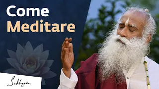 Come Meditare - per Principianti | Sadhguru Italiano