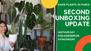 Rare Plant Update: 2nd unboxing / 6 rare plants from EU!