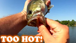 Too HOT to Fish? Realistic Bass Fishing in Early Summer Heat Wave
