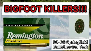 30-06 Remington Corelokt 220gr Ammo Review & Ballistics Gel Test: THE 30-06 ELEPHANT GUN LOAD