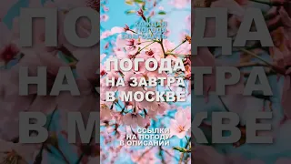 Погода на завтра в Москве