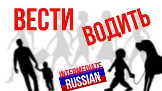 Intermediate Russian Verbs of Motion: ВЕСТИ и ВОДИТЬ