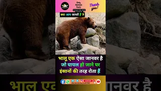 bear(भालू) के बारे में रोचक तथ्य🥶🐻#shorts #viral #facts #animals #bear #trending #ytshorts 🔥🔥