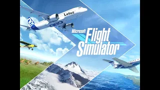 Mój syn skrzywdził swojego kolegę przez flight simulator |pasta|