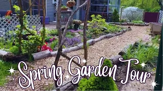 May Garden Tour!  ~Whimsigoth Cottage Garden Tour~ Zone 6 May 2024~