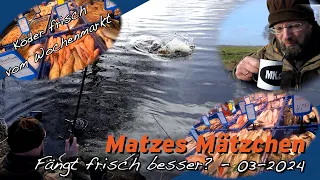 Matze Koch: Köderfisch vom Wochenmarkt? - Matzes Mätzchen 03-2024