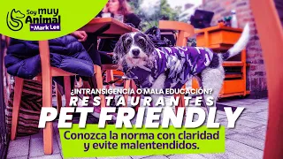 ¿Intransigencia o mala educación? Conozca con claridad la norma Pet Friendly y evite malentendidos.