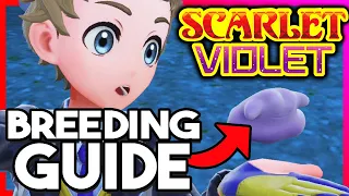 Pokemon Scarlet & Violet Breeding Guide! Ditto Location, Sandwich Egg Powers & More