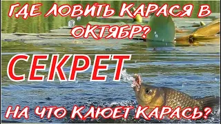 Где ловить карася в октябре? и на что клюет карась в октябре?