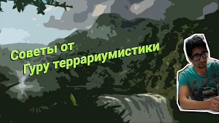 Советы от Гуру террариумистики