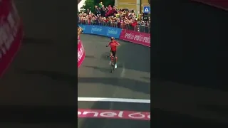 🇨🇴🥇 Santiago Buitrago wins the 17th stage of the #giroditalia! #shorts #short #sports #reels #reel