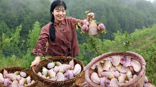 The fried fruit with strange taste is collected and sold in the city for free at 100kg. It is so po