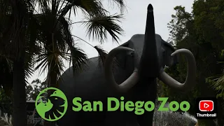 San Diego Zoo Exhibit Walk: Elephant Odyssey