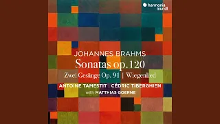 Viola Sonata in F Minor, Op. 120 No. 1: I. Allegro appassionato