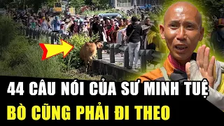 44 Câu nói của SƯ MINH TUỆ đáng để CHIÊM NGHIỆM CẢ ĐỜI: Chuyện lạ BÒ CŨNG ĐI THEO NGHE THUYẾT PHÁP