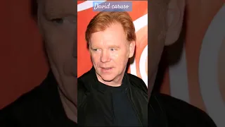 David Caruso ( évolution)