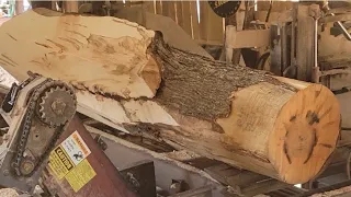 Milling two ugly maples #42