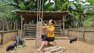 Building Bamboo House For Pig 2022, Make Bamboo Fence - Ep.98