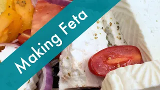 How to Make Feta at Home using Goat's Milk (Easy to Follow Steps)