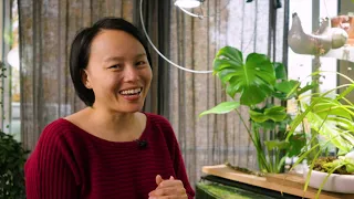 Growing Monstera Deliciosa in a Fish Tank