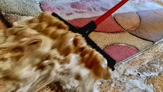 Astounding muddy floodingcarpet cleaning satisfying rugcleaning ASMR