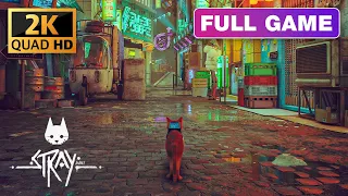 STRAY FULL GAME Walkthrough Gameplay [2K 60 FPS PC] - No Commentary
