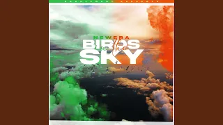 Birds In The Sky (Symmetrik Remix)