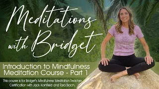 Mindfulness Meditation Course, Session 1