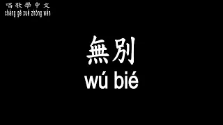 【唱歌學中文】►張信哲 – 無別◀ ► zhāng xìn zhé - wú bié◀『錯過你 嘗盡酸甜都無味』【動態歌詞中文、拼音Lyrics】