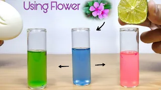 How to make colour changing Acid base indicator using common flower