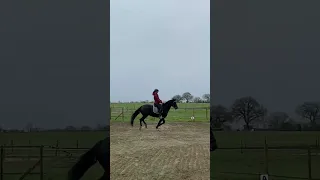 séance commentée avec mon jeune cheval 🥰