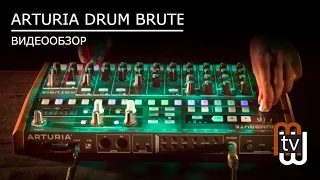 Arturia Drum Brute - обзор и демо