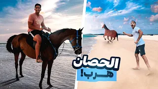 ركوب الخيل على البحر 🐎🏝 || هرب الخيل  (كان بيموت !!💔🤯)