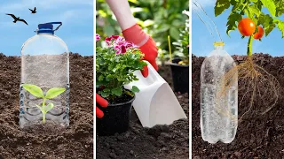 Genius Ways to Use Plastic Bottles in the Garden