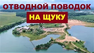 ОТВОДНОЙ ПОВОДОК