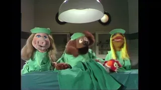 The Muppet Show - 116: Avery Schreiber - Veterinarian’s Hospital: Chicken (1976)