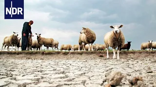 Wetter extrem - Zwischen Sturmflut und Dürre (1/3) | DIE REPORTAGE | NDR Doku