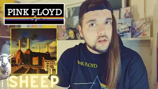 Drummer reacts to "Sheep" by Pink Floyd