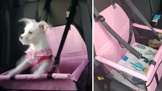 DIY DOG Car Seat | HIPPIH Dog Car Seat | How to Make Sturdy
