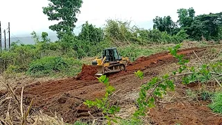 SHANTUI DOZER contenue roadtrace cutting pushing soil in NAPOCOR ELECTRIC POWER area..