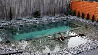 Соседи думали, что они строят простой бассейн, но когда его наполнили водой он был очень необычен