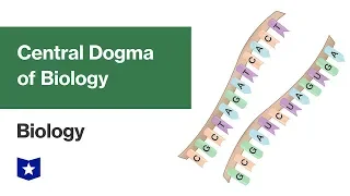 Central Dogma of Biology | Biology