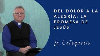 Del dolor a la alegría: la promesa de Jesús